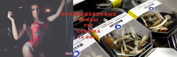 PSILOCYBIN Волосово