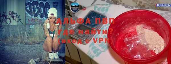 PSILOCYBIN Волосово