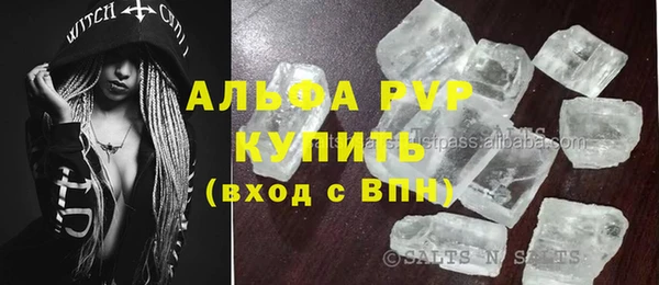 PSILOCYBIN Волосово